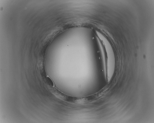 X0000075920505200610151910