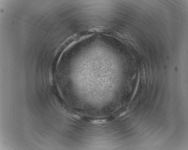 X0000075920508200610151910