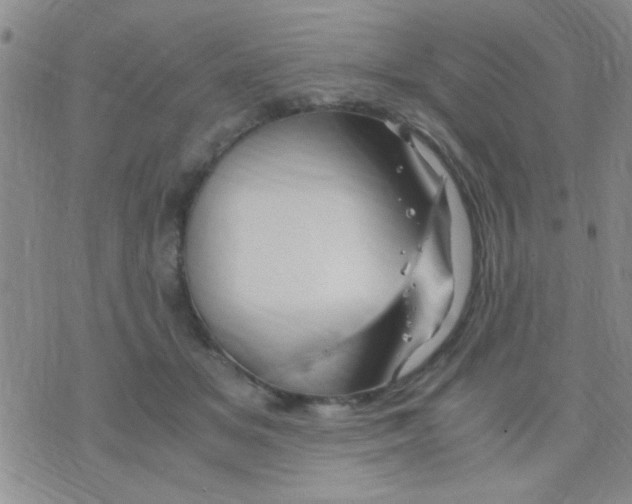 X0000075920509200610151910