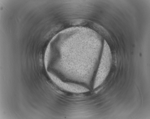 X0000075920510200610151910