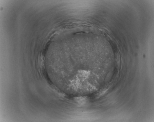 X0000075920511200610151910