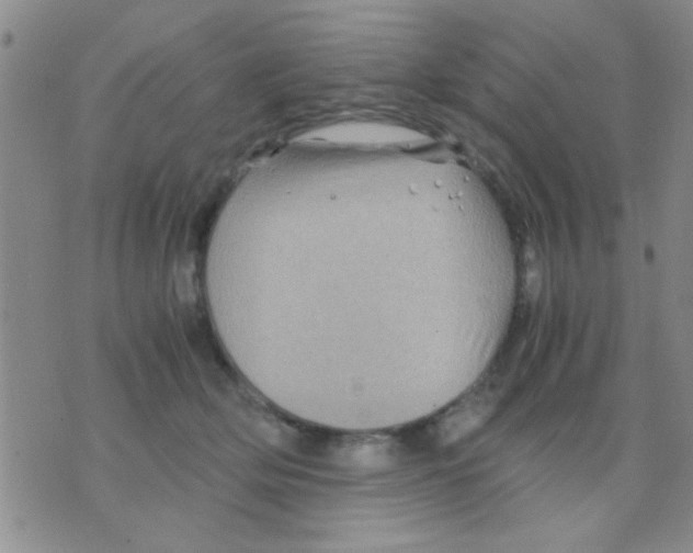 X0000075920514200610151910