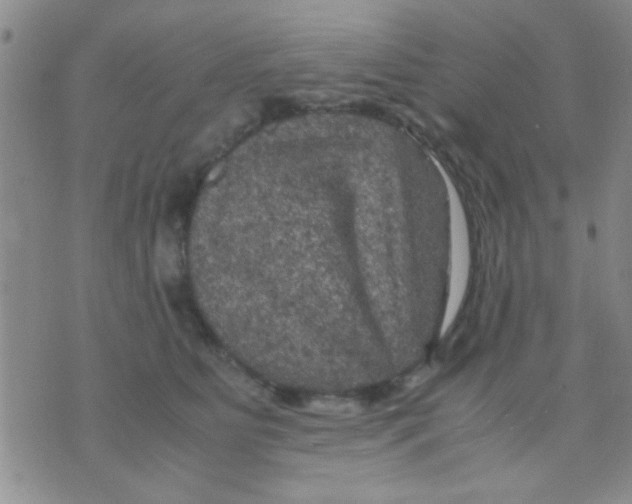 X0000075920515200610151910