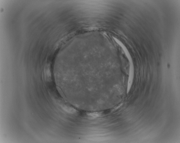 X0000075920516200610151909