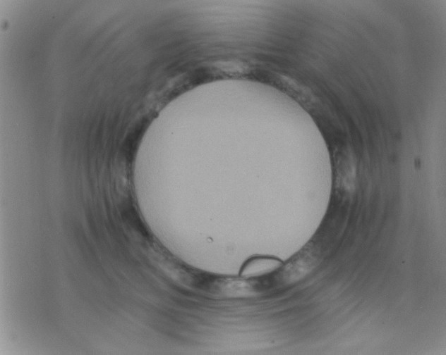 X0000075920518200610151909