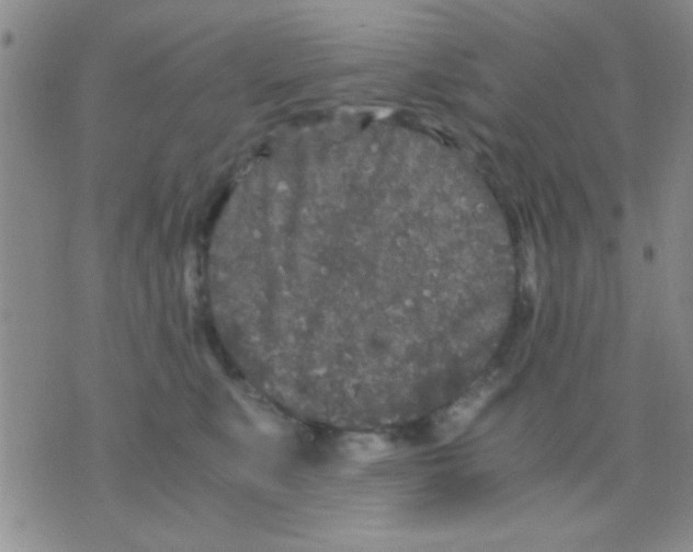 X0000075920519200610151909