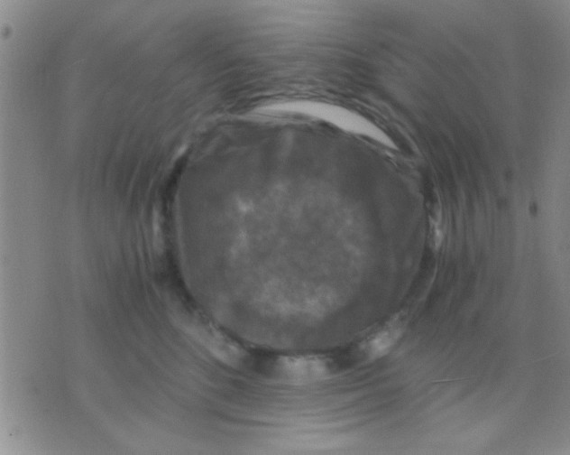 X0000075920520200610151909