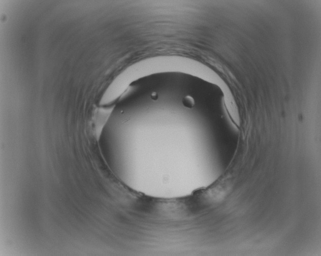 X0000075920521200610151909