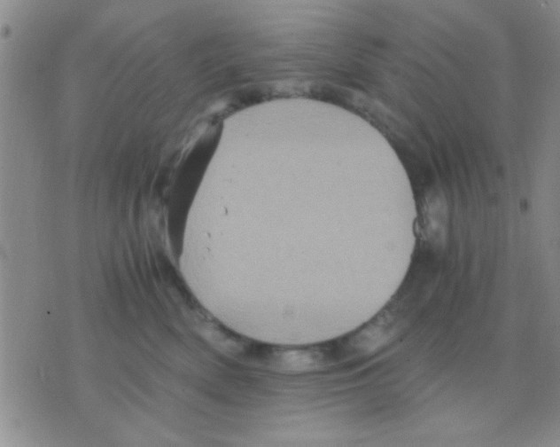 X0000075920522200610151909