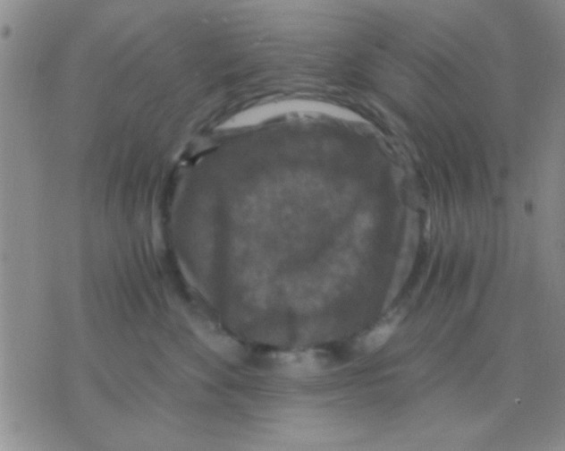 X0000075920524200610151909