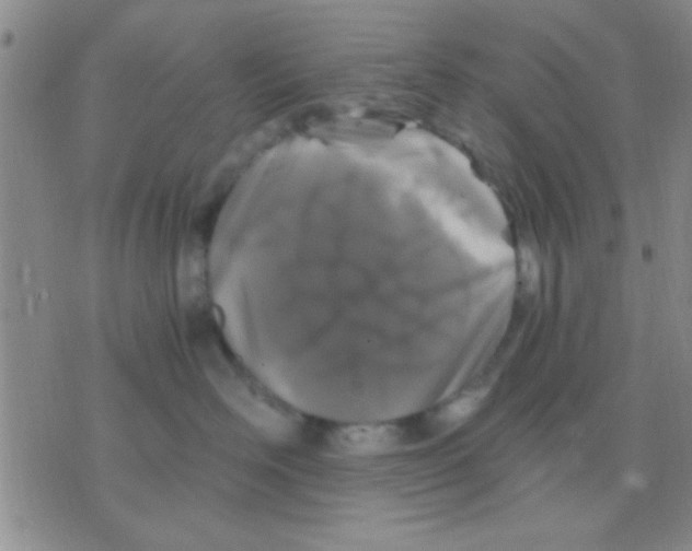 X0000075920526200610151909