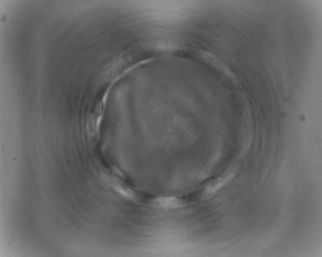 X0000075920528200610151909