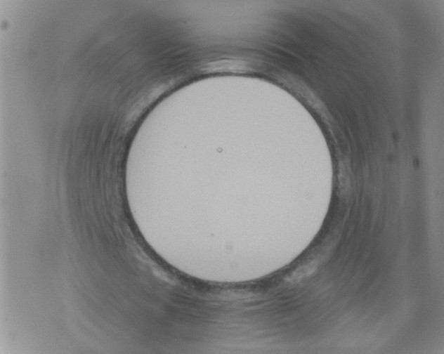 X0000075920529200610151909