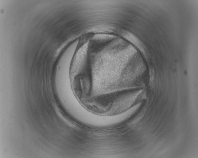 X0000075920530200610151909