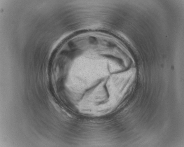 X0000075920532200610151909