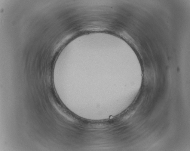 X0000075920533200610151909