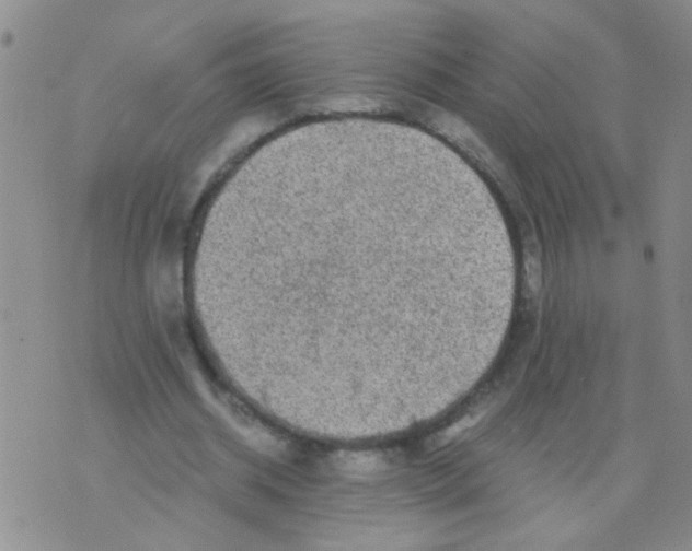 X0000075920534200610151909