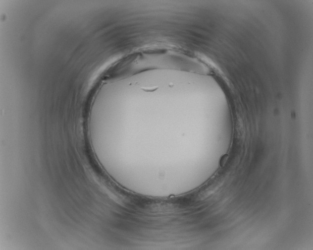 X0000075920535200610151909