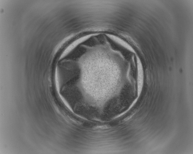 X0000075920536200610151909