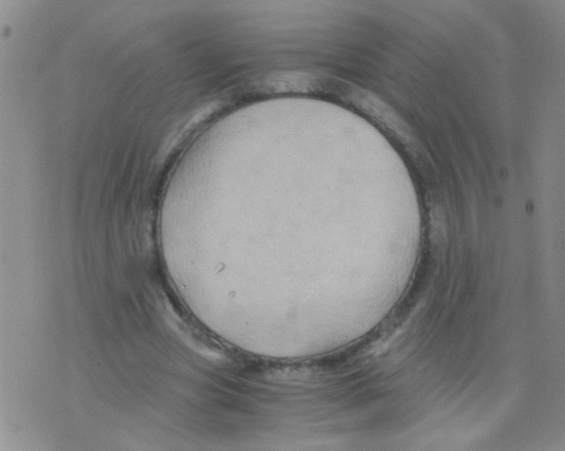 X0000075920537200610151909