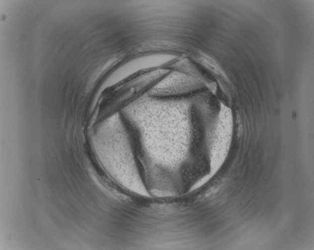 X0000075920538200610151909