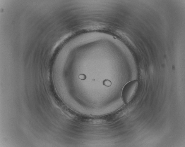 X0000075920539200610151909