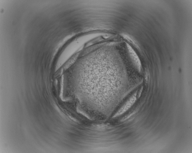 X0000075920540200610151909