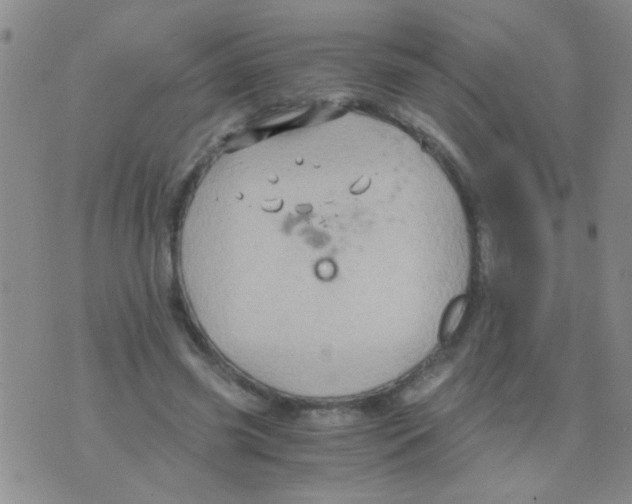 X0000075920541200610151909