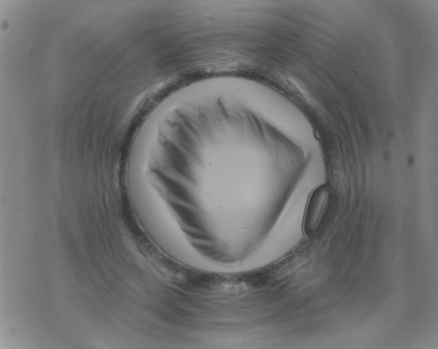 X0000075920543200610151909