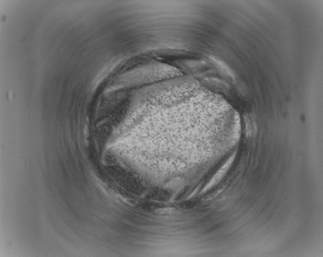 X0000075920544200610151909