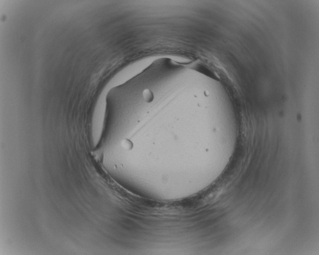 X0000075920545200610151909