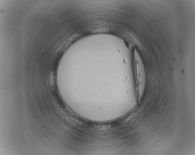 X0000075920549200610151909