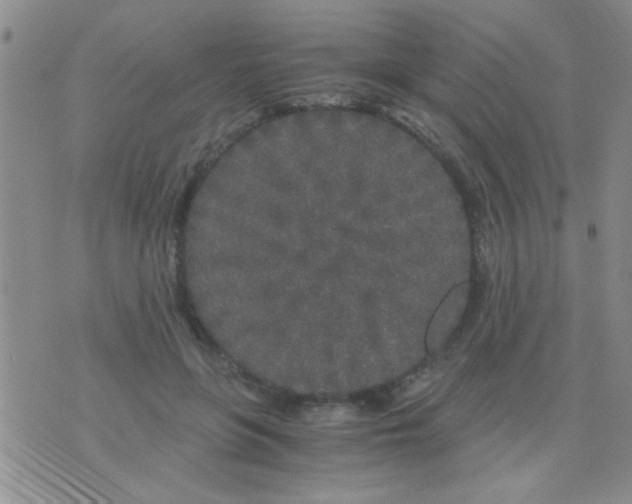 X0000075920551200610151909