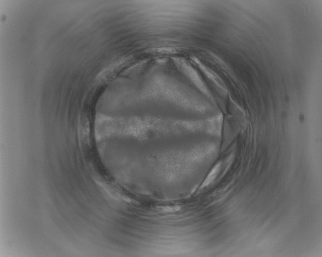 X0000075920552200610151909