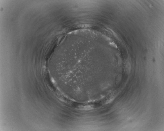 X0000075920553200610151909