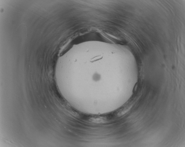 X0000075920557200610151909