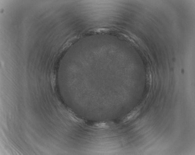 X0000075920558200610151909