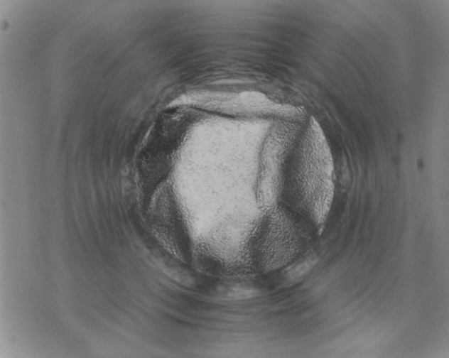 X0000075920559200610151909