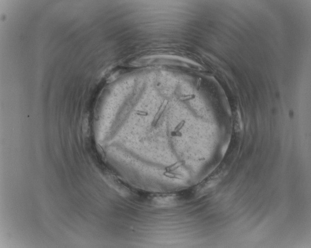 X0000075920560200610151909