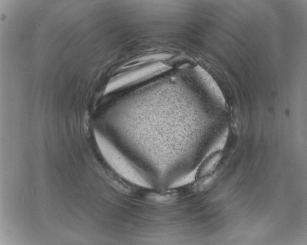 X0000075920563200610151909