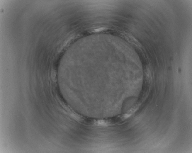 X0000075920565200610151909