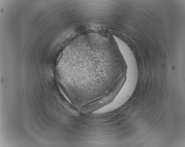 X0000075920566200610151909