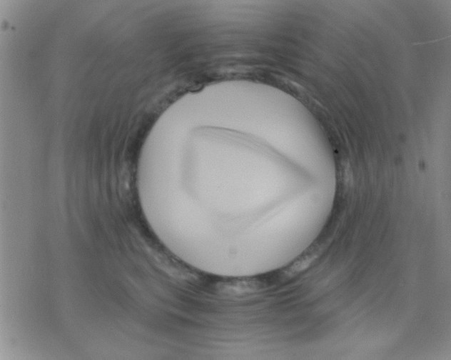 X0000075920567200610151909