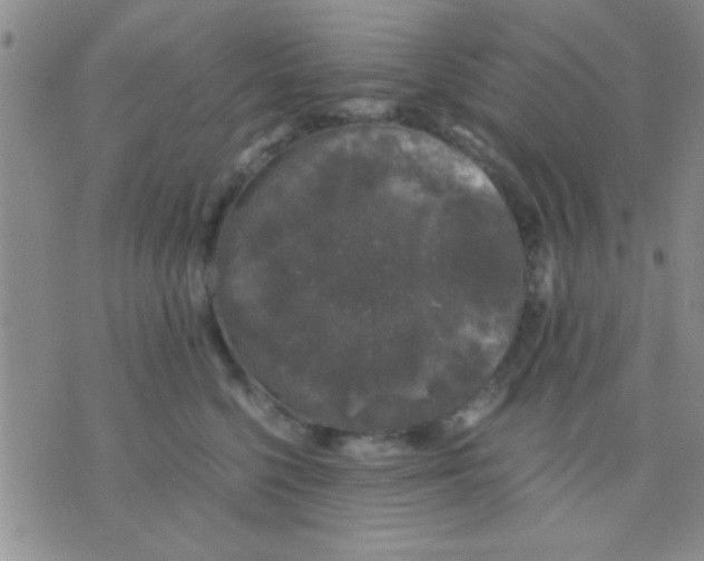 X0000075920568200610151909