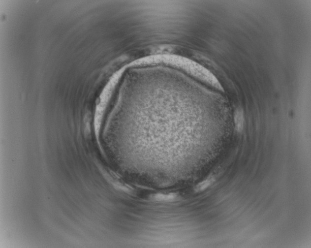 X0000075920570200610151909