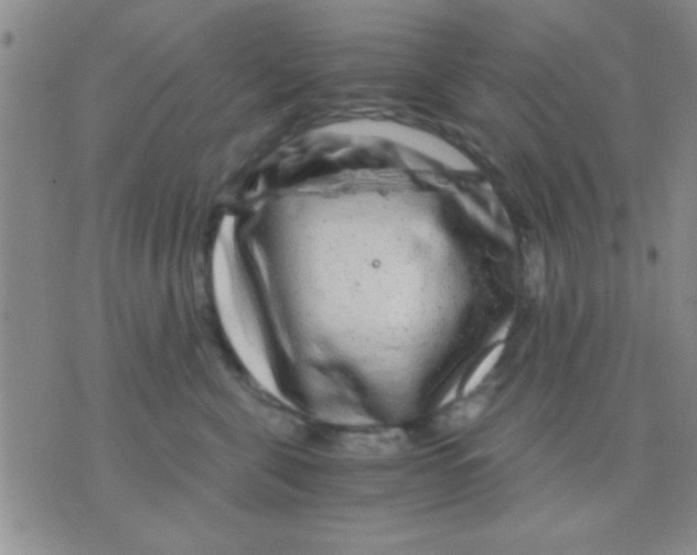 X0000075920571200610151909