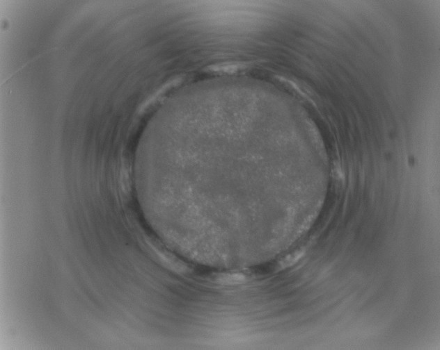 X0000075920572200610151909