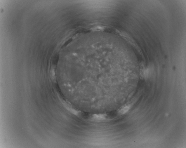 X0000075920573200610151909