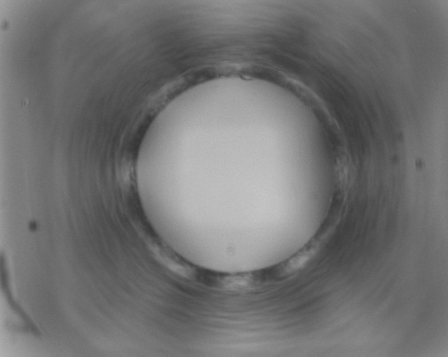 X0000075920574200610151909