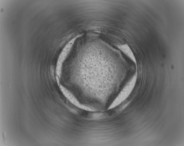 X0000075920575200610151909